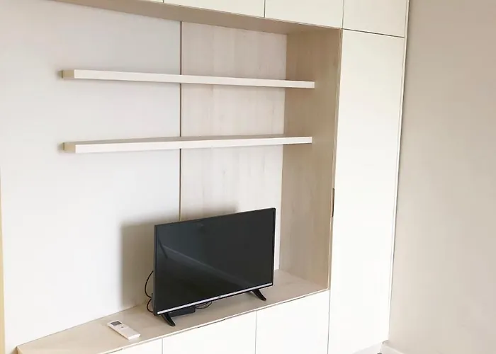 Daire Turquoise And Magenta *